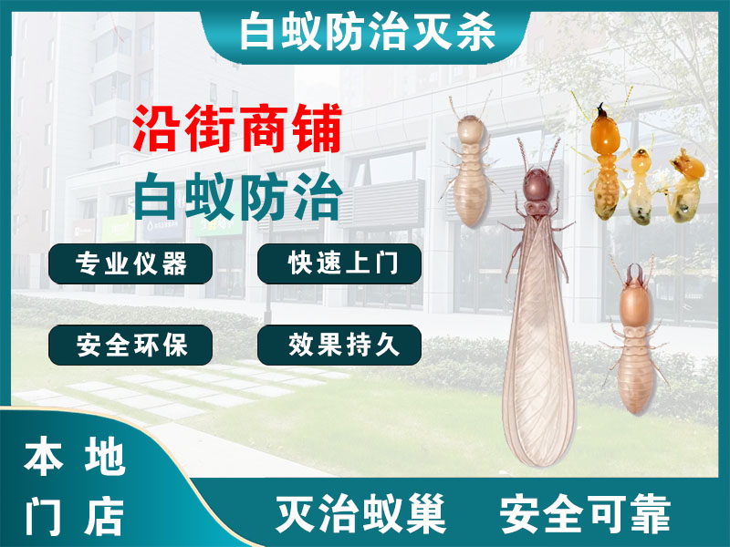 嘉兴市沿街商铺白蚁防治