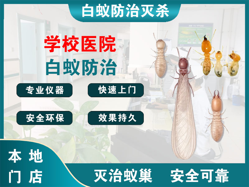 嘉兴市学校医院白蚁防治