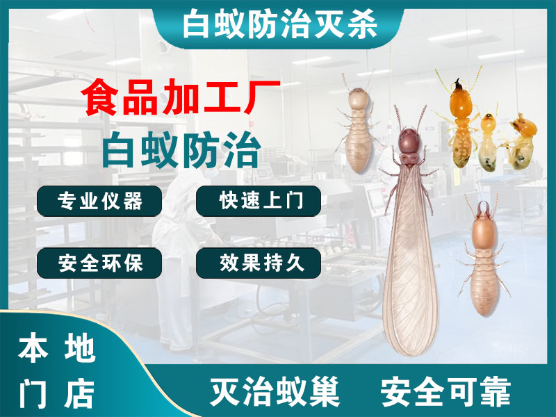 嘉兴市食品加工厂白蚁防治