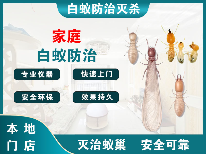 嘉兴市家庭白蚁防治