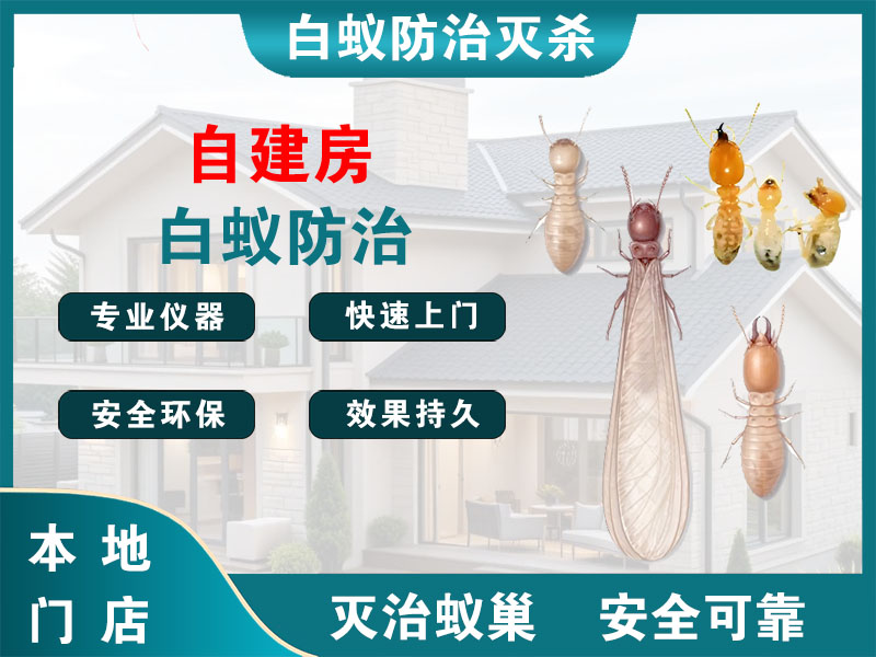 嘉兴市自建房白蚁防治