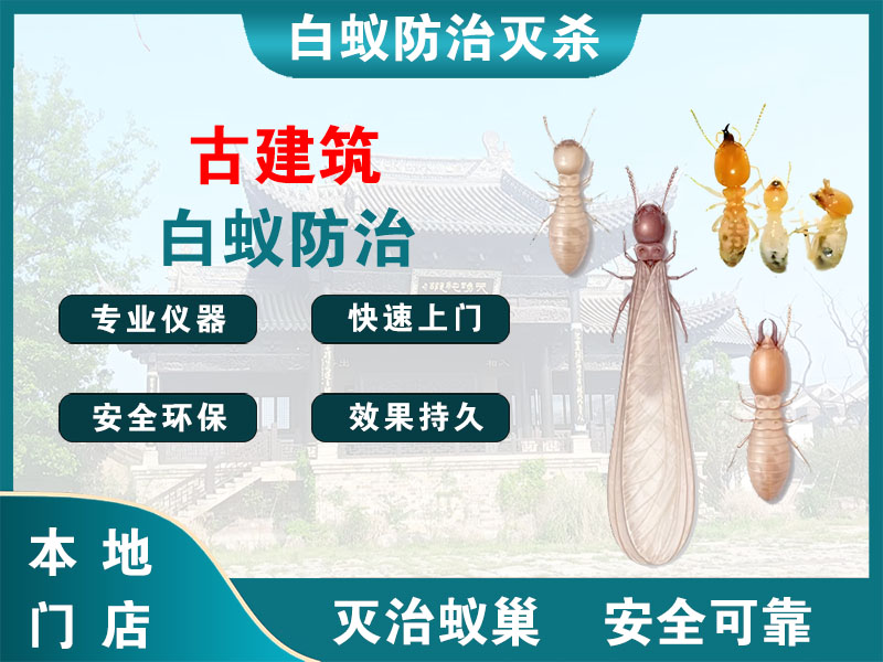 嘉兴市古建筑白蚁防治
