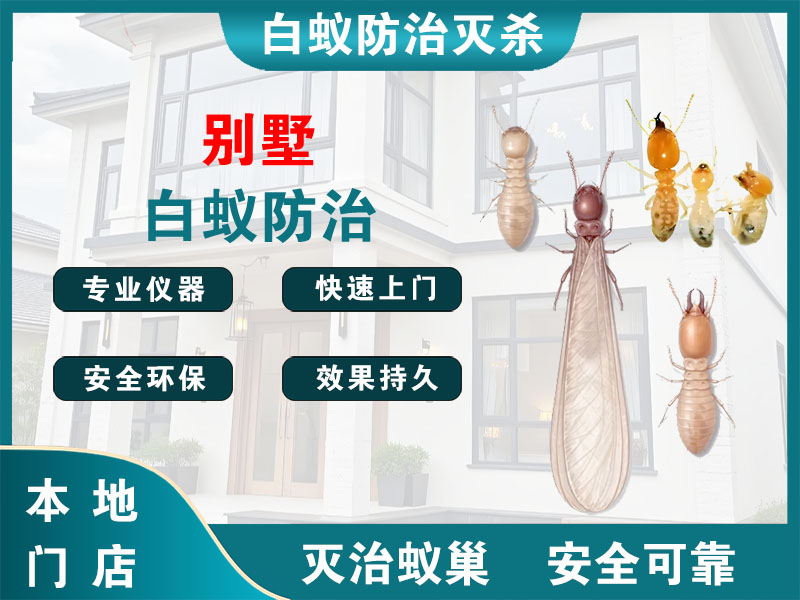 嘉兴市别墅白蚁防治