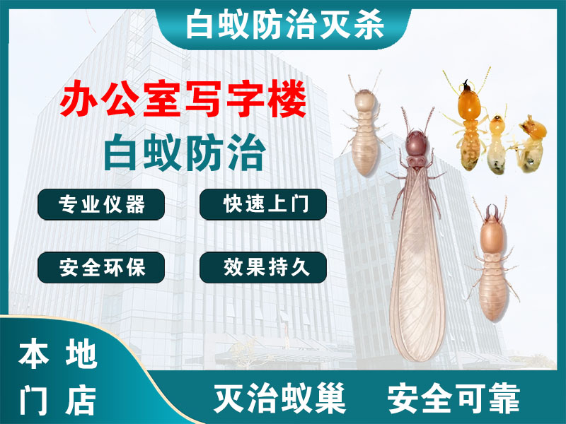 嘉兴市办公室写字楼白蚁防治