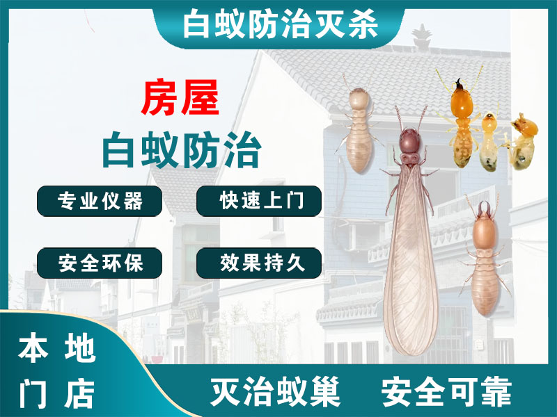嘉兴市房屋白蚁防治
